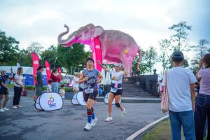 BIB: 
                            <button type="button" onclick="openModal(26551657)" class="btn btn-primary btn-sm float-right btn-popup" data-toggle="modal" data-target=".modal-high-quality">
                        <i class="fas fa-shopping-cart"></i> Add to Cart
                    </button>
                                            <button type="button" onclick="isThisMe(26551657, true)" class="btn btn-success btn-sm float-right btn-popup btn-isme hidden" data-toggle="tooltip" data-placement="bottom" title="นี่คือรูปของคุณใช่ไหม คลิกที่นี่เพื่อเอาเข้าอัลบั้ม">
                        <i class="fas fa-plus"></i> Add to album
                    </button>
                    <button type="button" onclick="isThisMe(26551657, false)" class="btn btn-warning btn-sm float-right btn-popup btn-isnotme hidden">
                        <i class="fas fa-ban"></i> Remove from album
                    </button>